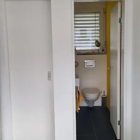 Vesmira_1